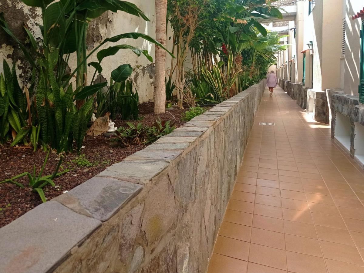 Live Puerto Santiago Europa Apartment Puerto de Santiago  Exterior photo